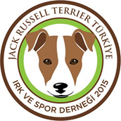 Jack Russell Terrier Türkiye  - Irk ve Spor Derneği 2015